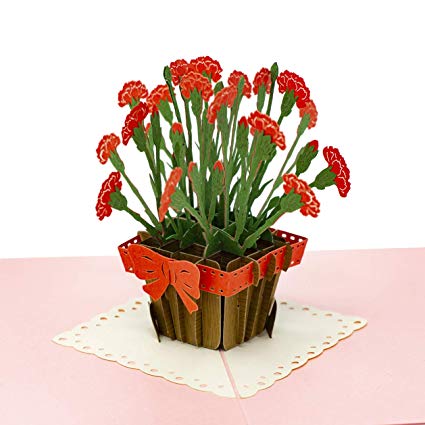Paper Love Pop Up Card, Carnation Flower Card, 3D Popup Romantic Greeting Cards, For Valentine's Day, Mother’s Day, Wedding, Anniversary, Birthday, Romance