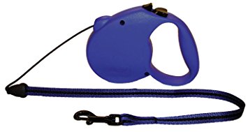 Flexi Usa Retractable Leash (Assorted Color)