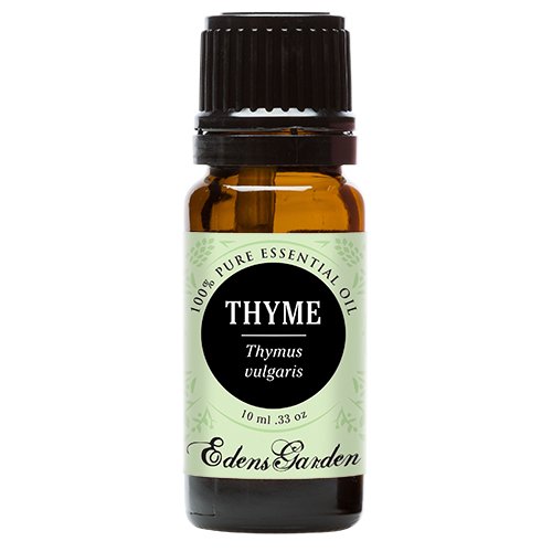 Thyme 100% Pure Therapeutic Grade Essential Oil by Edens Garden- 10 ml