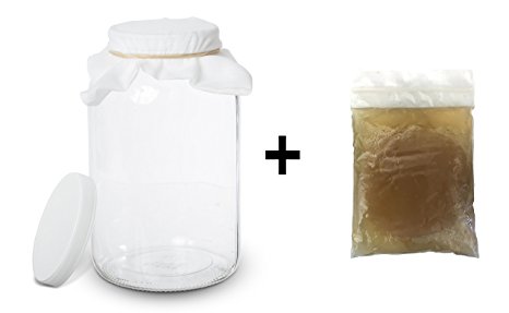 Kombucha Scoby with Starter Tea and 1 Gallon Glass Kombucha Jar - Home Brewing and Fermenting Kit with Cheesecloth Filter, Rubber Band and Plastic Lid - By Kitchentoolz