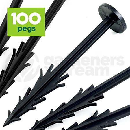 GardenersDream 150mm (6") Fixing Pegs - Used to Anchor and Secure Weed Control Fabric, Ground Cover, Landscape Membrane, Fleece, Netting, Tarpualins, etc (Qty: 100 pegs)
