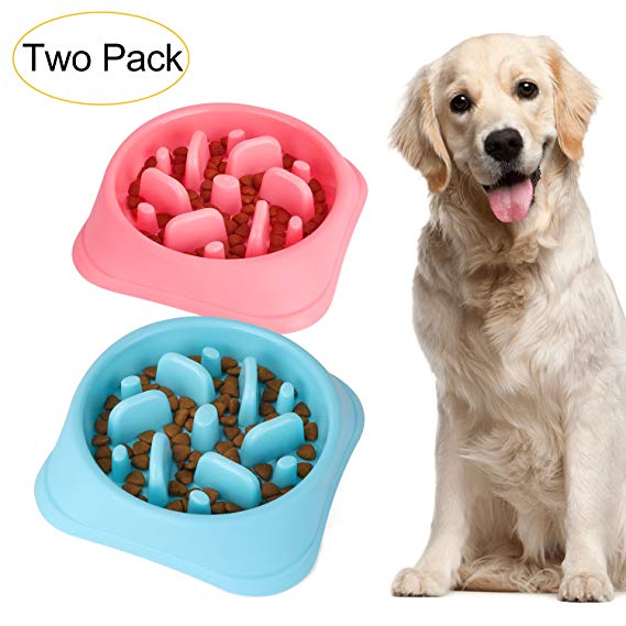 JASGOOD Dog Feeder Slow Eating Pet Bowl Eco-Friendly Durable Non-Toxic Preventing Choking Healthy Design Bowl for Dog Pet