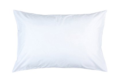 Zip and Block, Econo Block, Anti Allergen Bed Bug Proof Breathable Waterproof Pillow Encasing, White, Queen