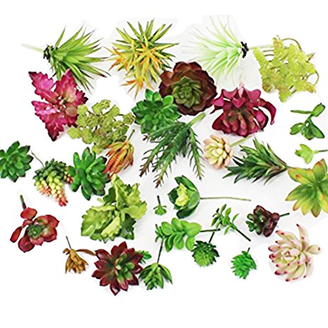 10 Pcs-Plastic Different Mini Succulents, Artificial Cactus Plant