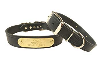 Warner Cumberland Leather Dog Collar   Free Engraved Brass ID tag