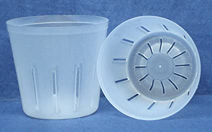 Clear Plastic Pot for Orchids 3 inch Diameter - Quantity 2