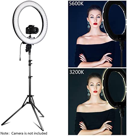 AYL 12 inch Led Selfie Ring Light with Stand, Big Led Camera Light with Cool Warm Mix Light, Led Circle Light for YouTube Video Live Stream Makeup, (Multicolour)