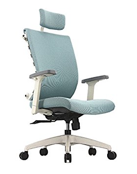 ApexDesk SK Series Ergonomic Mesh-Covered High-Back Office Chair Adjustable Seat Height, Backrest and Armrest – Sky Blue