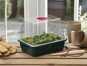 Garland GAL20SM Half-Size High-Dome Propagator, Green, 22x16x19 cm