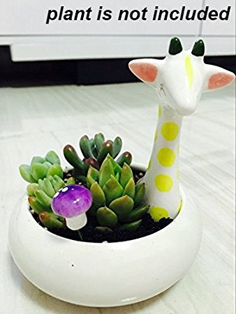 Cute Animal Shaped Cartoon Home Decoration Succulent Flower Plant Pots