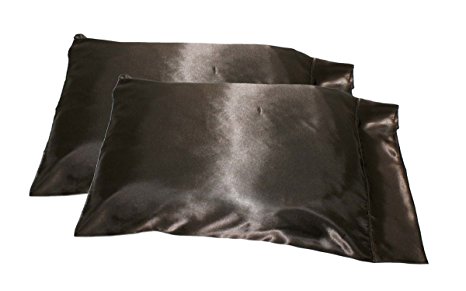 2pc New Queen/Standard Silk~y Satin Pillow Case Multiple Colors (Brown)