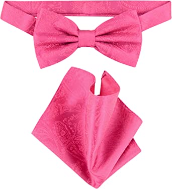 Vesuvio Napoli BowTie Hot Pink Fuchsia Paisley Mens Bow Tie & Handkerchief