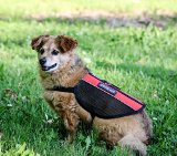 Liopard Light Weight Dog Harness for Service Dogs and Emotional Support Dogs - Reflective Safety Vest - All Sizes
