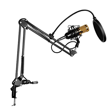 Excelvan BM-800 Condenser Microphone Black  Pop Filter Wind Screen   Arm Stand with XLR Male to XLR Female Microphone Cable for Studio Recording (Black)