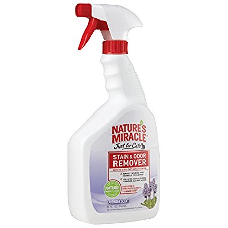 Nature's Miracle Stain and Odor Remover Carpet Shampoo