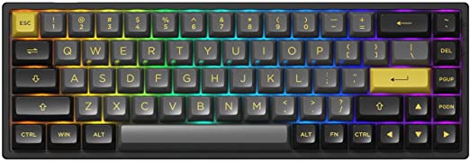 Akko Black & Gold 65% 3068B 68-Key RGB Hot-swappable Mechanical Gaming Keyboard, 2.4G Wireless/Bluetooth/Wired with PBT Double-Shot Keycaps for Mac & Win (Akko Jelly Purple Switches)