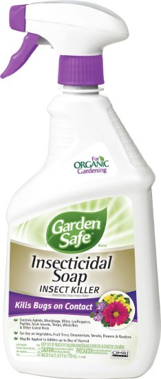 Garden Safe 10424X  Insecticidal Soap Insect Killer Spray Ready-to-Use 24-Ounce