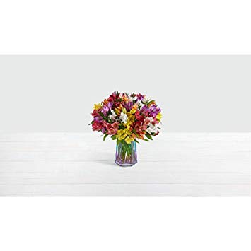 ProFlowers - Multi-Colored 100 Blooms of Peruvian Lilies w/Free Clear Vase - Flowers