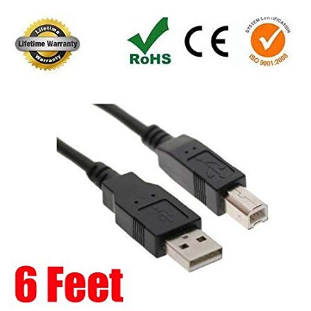 Compatible Hp C6518a High Speed USB 2.0 Printer Cable for Epson, Canon, Hewlett-Packard, Dell, Kodak, Lexmark and Many More!