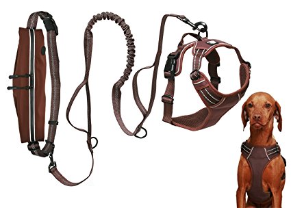 3 in 1 Dog Harness with Hands Free Leash and Running Belt | Adjustable Belt with Pouch Pocket | Dual Handle Bungee Leash | For walking, hiking, jogging & running | Fits medium to large dogs