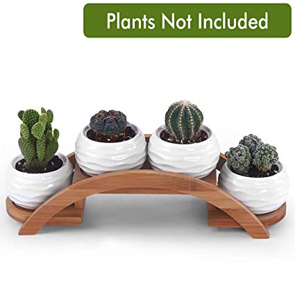 Ceramic White Mini Textured Succulent Plant Pot/Cactus Plant Pot with Bamboo Arched Tray