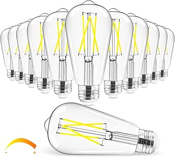 Hizashi Vintage LED Edison Bulb Dimmable, 6W Equivalent 60W, 5000k Daylight, E26 Base Led Light Bulbs, 700LM, High CRI 95  Eye Protection, Clear Glass, Pack of 12