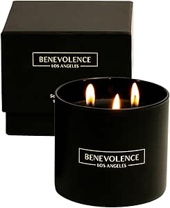 Benevolence LA 3 Wick Scented Candles | Charcoal Premium Soy Candles | 14.5 Oz Christmas Gifts for Men | Natural Candles for Women | 45 Hour Burn Aromatherapy Long Lasting Candles, Holiday Candles