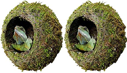 kathson 2pcs 6" Reptile Moss Cave Hide for Humidity,Mossy Hideout for Turtle Crested Gecko Spider Lizard Frog Chameleon