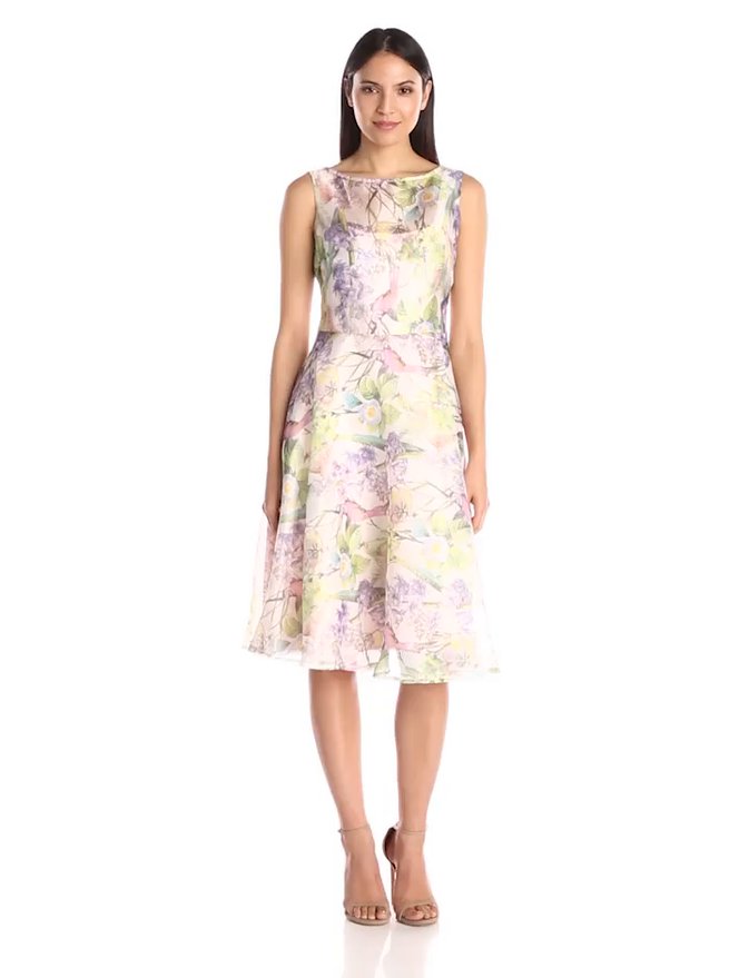Women's Floral Fit and Flare Dress