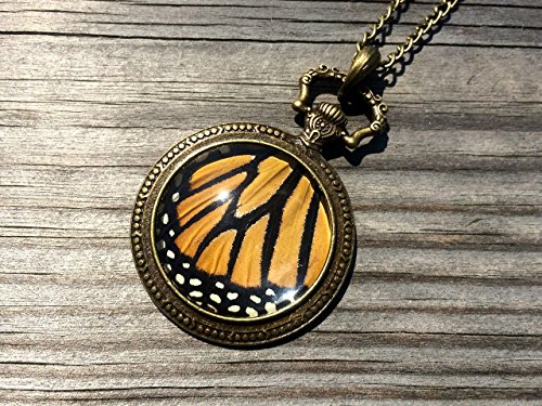 Real Monarch Butterfly Wing Necklace - Steampunk Pocket Watch Pendant - Natural History Insect Jewelry