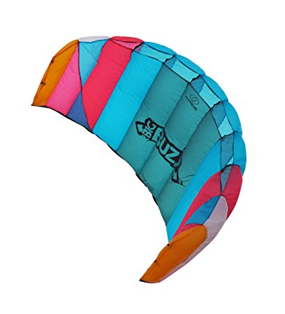 Flexifoil 0.8m2/1.45m Wide 2-Line Buzz Power Kite with 90 Day Money Back Guarantee! By World Record Winning Designer of 2-line and 4-line Power Kites - Safe, Strong, Reliable and Durable Family Outdoor Beach Activities for Adults, Kids both Boys and Girls from age 10 years old - Perfect Gifts and Best Selling Kids Toys - Easy Family Orientated Power Kiting, Kite Flyer Training and Introductory Traction Kiting