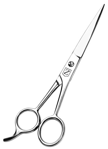 Zoyer Professional Barber Hair Cutting Scissors/Shears (6.5-Inch) (Silver)