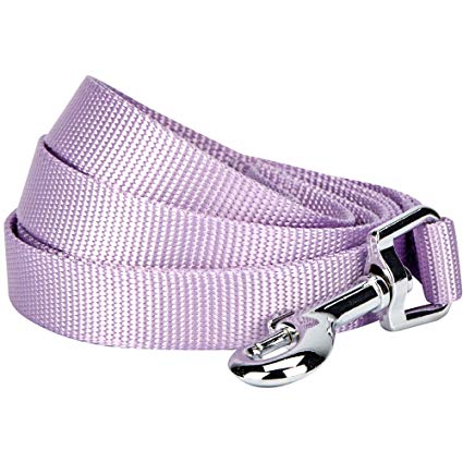 Blueberry Pet Classic Solid Color Dog Leash, 19 Colors, Matching Collar & Harness Available Separately