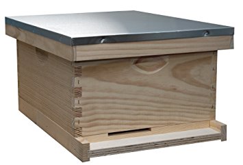 10-Frame Complete Hive Kit, Assembled, Made In The USA