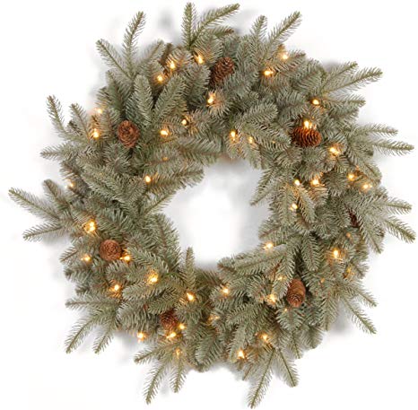 National Tree 24 Inch "Feel Real" Frosted Artic Spruce Wreath with Cones and 50 Clear Lights (PEFA1-307-24W-1)