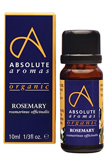 Absolute Aromas Organic Rosemary Essential Oil