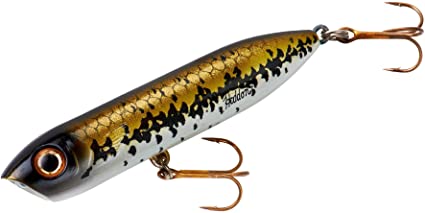Heddon Chug'N Spook Popper Topwater Fishing Lure for Saltwater and Freshwater