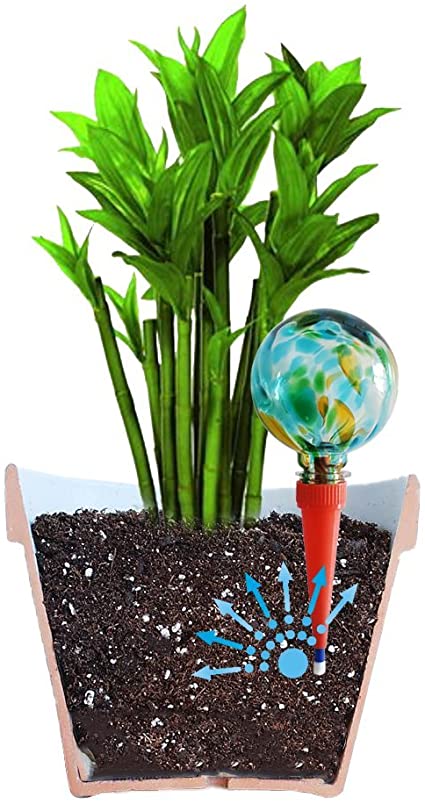 Plantpal 2 Large Decorative Glass Watering Globes, Plant Watering Stakes, Aqua Spikes, Automatic Plant Watering, Practical Watering System That Really Works. Great for House Plants. (Green, Glass).