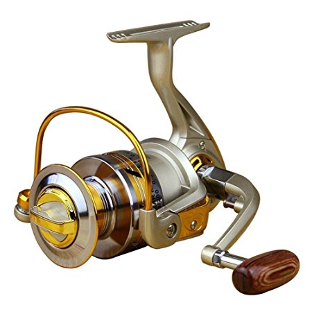 LeaningTech 5.5:1 10BB Ball Bearing High Speed Fishing Spinning Reel for Carp, Inshore & Saltwater Bait Fishing, Silver&Golden