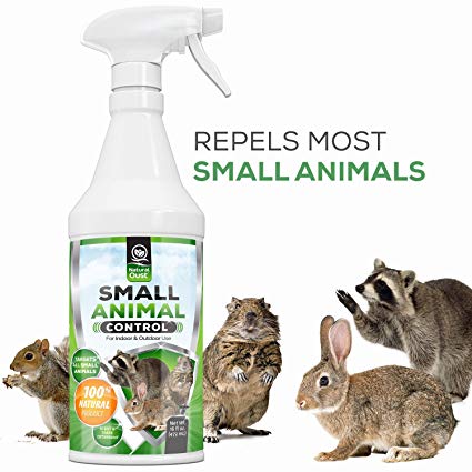 Natural Oust Small Animal Repellent Spray | Natural, Cruelty Free Rodent Deterrent | Squirrels, Gophers, Rabbits, Mice, Rats, Raccoons | Indoor, Outdoor Use | Trash Cans, Garage, Attic, Garden