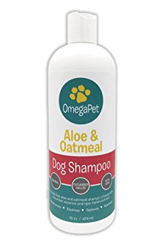 Dog Shampoo for Itchy Skin - The Best Smelling Cat Shampoo (Long Lasting 16 oz) Oatmeal   Aloe   Shea Butter - Rich Lather and Easy Rinse - Conditioner for Soft Skin and Shiny Fur