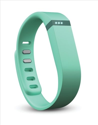 Fitbit Flex Wireless Activity Tracker and Sleep Wristband