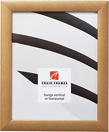 Craig Frames 23247006 Picture Frame, 19 x 24 Inch, Distressed Gold