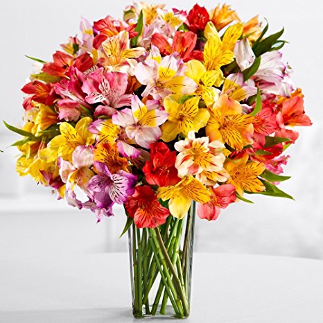 ProFlowers - 25 Count Multi-Colored 100 Blooms of Peruvian Lilies with Chocolates and Square Glass Vase w/Free Vase - Flowers