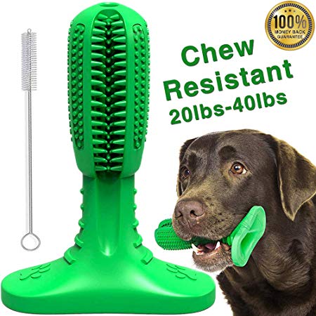 Doeki Dog Toothbrush Stick - Dog Teeth Cleaning Massager, Dog Dental Care Chew Stick - Dogs Like Milk Sweet Flavor, Natural and Durable Rubber for Medium Large Pets Dogs 20Ibs-40Ibs [2019 UPGRADE]