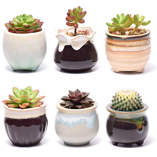 Plant Pots for Succulents, Small Ceramic Planters 2.5 Inch with Drainage, Set of 6 Pots for Plants