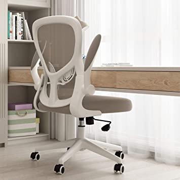 Hbada Office Chair, Ergonomic Desk Chair, Computer Mesh Chair with Lumbar Support and Flip-up Arms, Gray