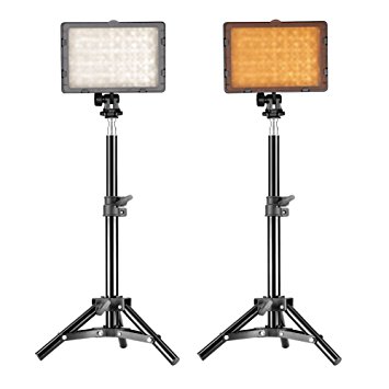 Neewer® Photography 160 LED Studio Lighting Kit, including (2)CN-160 Dimmable Ultra High Power Panel Digital Camera DSLR Camcorder LED Video Light (2)32" / 80cm Tall Studio Light Stand