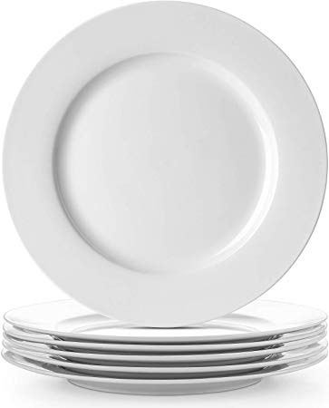 DOWAN Porcelain Dinner Plates, 10 Inches Desert Serving Platters Set of 6,White