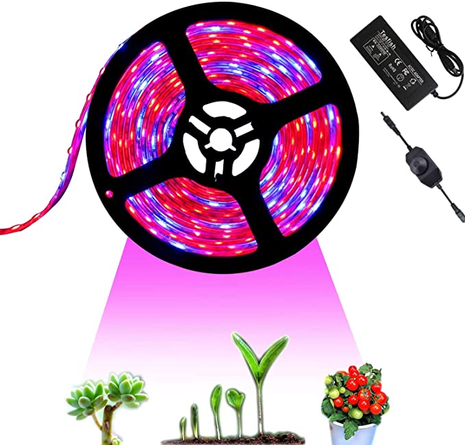 Tesfish 12V LED Plant Grow Light Strips 16.4ft with Power Adapter and Dimmer Indoor Growing Lights Waterproof Full Spectrum SMD 5050 Red Blue 4:1 for Indoor Plants Greenhouse Aquarium Hydroponic Plant